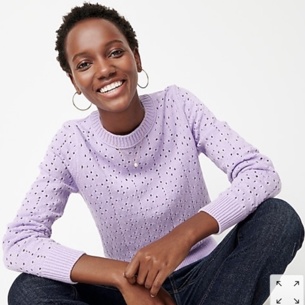 J. Crew Point Sur Pointelle Knit Lilac Ice Crewneck Sweater